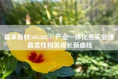 福莱新材(605488)：产业一体化充实业绩 真柔性构筑成长新曲线