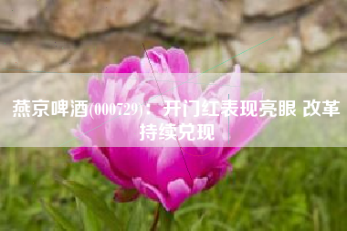 燕京啤酒(000729)：开门红表现亮眼 改革持续兑现
