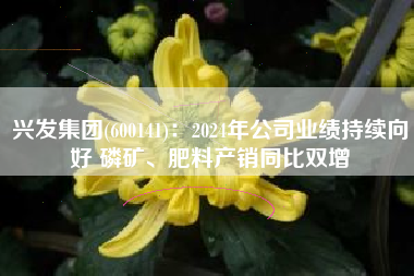 兴发集团(600141)：2024年公司业绩持续向好 磷矿、肥料产销同比双增