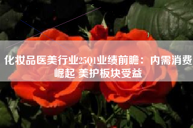 化妆品医美行业25Q1业绩前瞻：内需消费崛起 美护板块受益