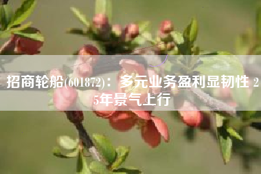 招商轮船(601872)：多元业务盈利显韧性 25年景气上行
