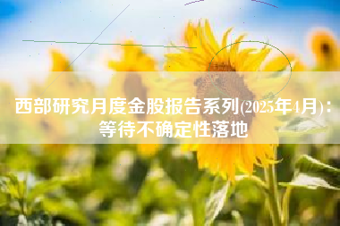 西部研究月度金股报告系列(2025年4月)：等待不确定性落地