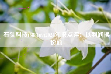 石头科技(688169)2024年报点评：以利润换份额