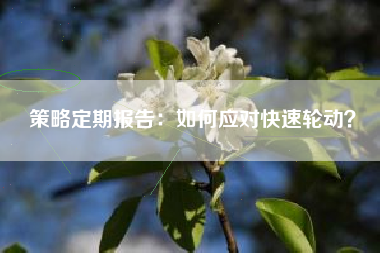 策略定期报告：如何应对快速轮动？