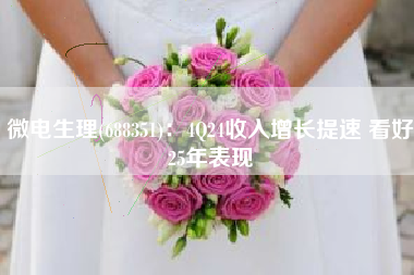 微电生理(688351)：4Q24收入增长提速 看好25年表现