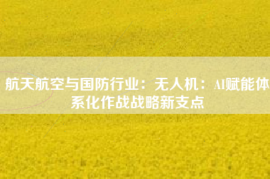 航天航空与国防行业：无人机：AI赋能体系化作战战略新支点