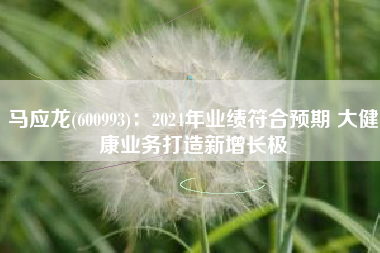 马应龙(600993)：2024年业绩符合预期 大健康业务打造新增长极