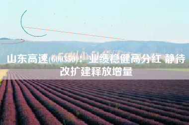 山东高速(600350)：业绩稳健高分红 静待改扩建释放增量