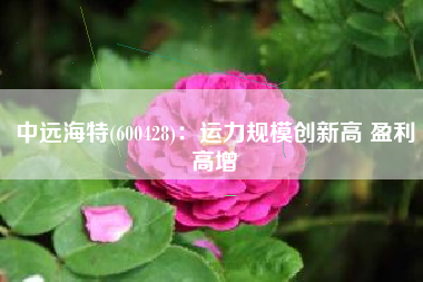中远海特(600428)：运力规模创新高 盈利高增