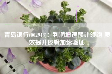 青岛银行(002948)：利润增速预计领跑 质效提升逻辑加速验证