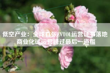 低空产业：全球首张EVTOL运营证书落地 商业化试运营跨过最后一道槛