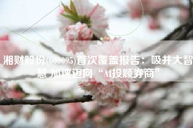 湘财股份(600095)首次覆盖报告：吸并大智慧 加速迈向“AI投顾券商”