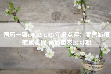 国药一致(000028)2024年报点评：零售减值拖累表现 高质量发展可期