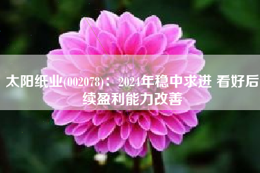 太阳纸业(002078)：2024年稳中求进 看好后续盈利能力改善