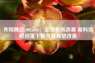 齐翔腾达(002408)：业绩有所改善 原料价格回落下景气度有望改善