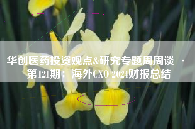 华创医药投资观点&研究专题周周谈 · 第121期：海外CXO 2024财报总结