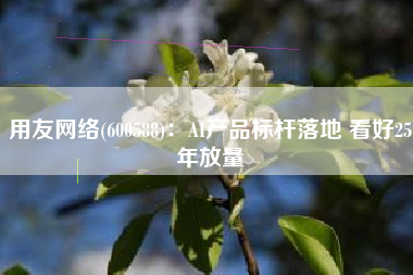 用友网络(600588)：AI产品标杆落地 看好25年放量