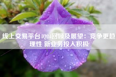 线上交易平台4Q24回顾及展望：竞争更趋理性 新业务投入积极