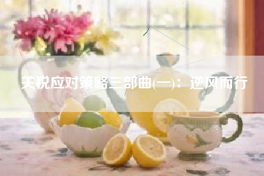 关税应对策略三部曲(一)：逆风而行
