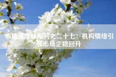 市场温度计系列之二十七：机构情绪引领市场企稳回升