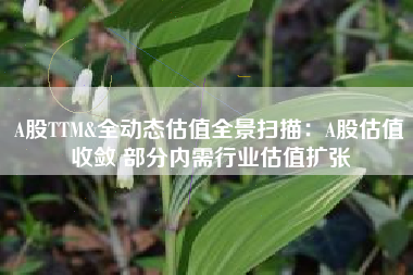 A股TTM&全动态估值全景扫描：A股估值收敛 部分内需行业估值扩张