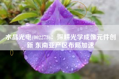 水晶光电(002273)：深耕光学成像元件创新 东南亚产区布局加速