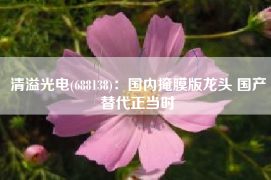 清溢光电(688138)：国内掩膜版龙头 国产替代正当时