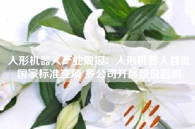 人形机器人产业周报：人形机器人首批国家标准立项 多公司开展股份回购