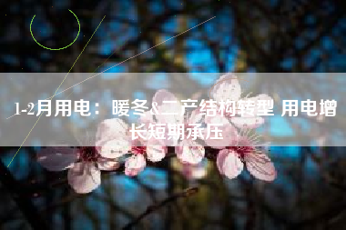 1-2月用电：暖冬&二产结构转型 用电增长短期承压
