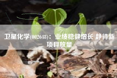卫星化学(002648)：业绩稳健增长 静待新项目放量