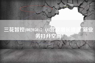 三花智控(002050)：Q4营收增长提速 新业务打开空间
