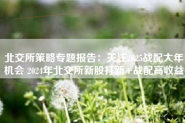 北交所策略专题报告：关注2025战配大年机会 2024年北交所新股打新+战配高收益