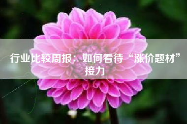 行业比较周报：如何看待“涨价题材”接力