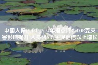 中国人保(601319)2024年报点评：COR受灾害影响提升 人身险NBV实现翻倍以上增长
