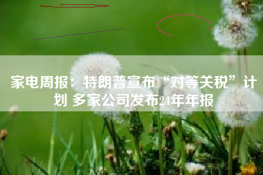 家电周报：特朗普宣布“对等关税”计划 多家公司发布24年年报