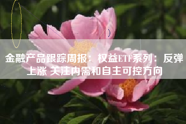 金融产品跟踪周报：权益ETF系列：反弹上涨 关注内需和自主可控方向