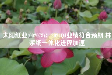 太阳纸业(002078)：2024Q4业绩符合预期 林浆纸一体化进程加速