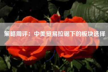 策略周评：中美贸易拉锯下的板块选择