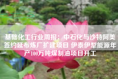 基础化工行业周报：中石化与沙特阿美签约延布炼厂扩建项目 伊泰伊犁能源年产100万吨煤制油项目开工