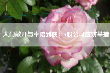 大门敞开与奉陪到底：A股公司应对举措