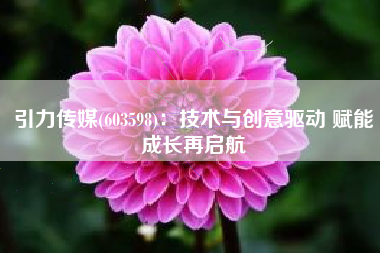 引力传媒(603598)：技术与创意驱动 赋能成长再启航