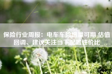 保险行业周报：电车车险增量可期 估值回调、建议关注当下配置性价比