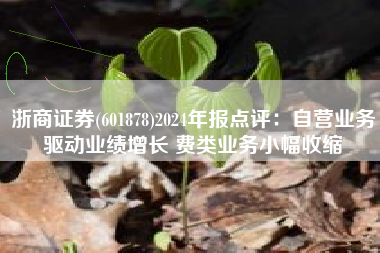 浙商证券(601878)2024年报点评：自营业务驱动业绩增长 费类业务小幅收缩