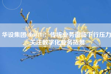 华设集团(603018)：传统业务面临下行压力 关注数字化业务拓展
