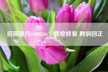 招商银行(600036)：营收修复 利润回正