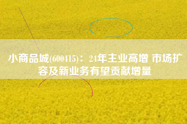 小商品城(600415)：24年主业高增 市场扩容及新业务有望贡献增量