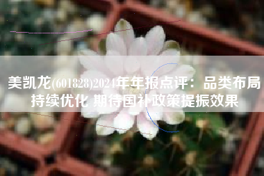 美凯龙(601828)2024年年报点评：品类布局持续优化 期待国补政策提振效果