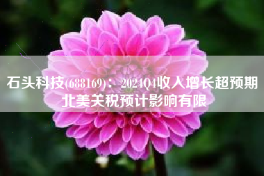 石头科技(688169)：2024Q4收入增长超预期 北美关税预计影响有限