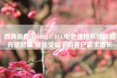 西典新能(603312)：FCC电池连接系统新品有望起量 储能受益下游客户需求增长