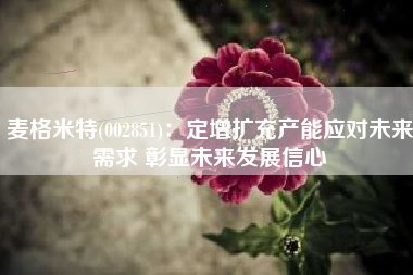 麦格米特(002851)：定增扩充产能应对未来需求 彰显未来发展信心